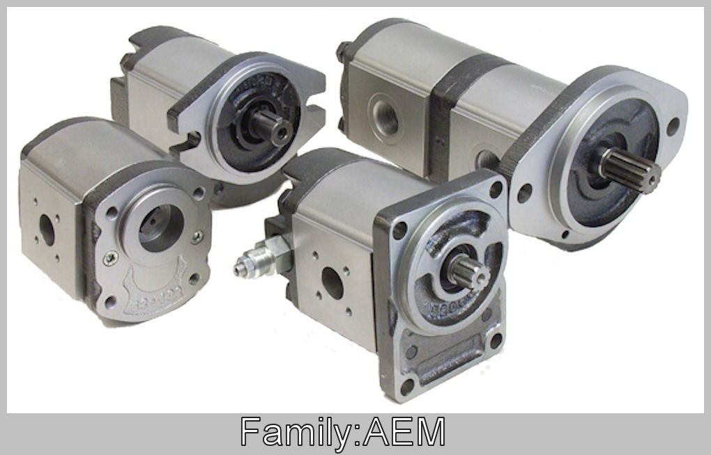 Hydraulic Pumps and Motors - GHIM Hydraulics