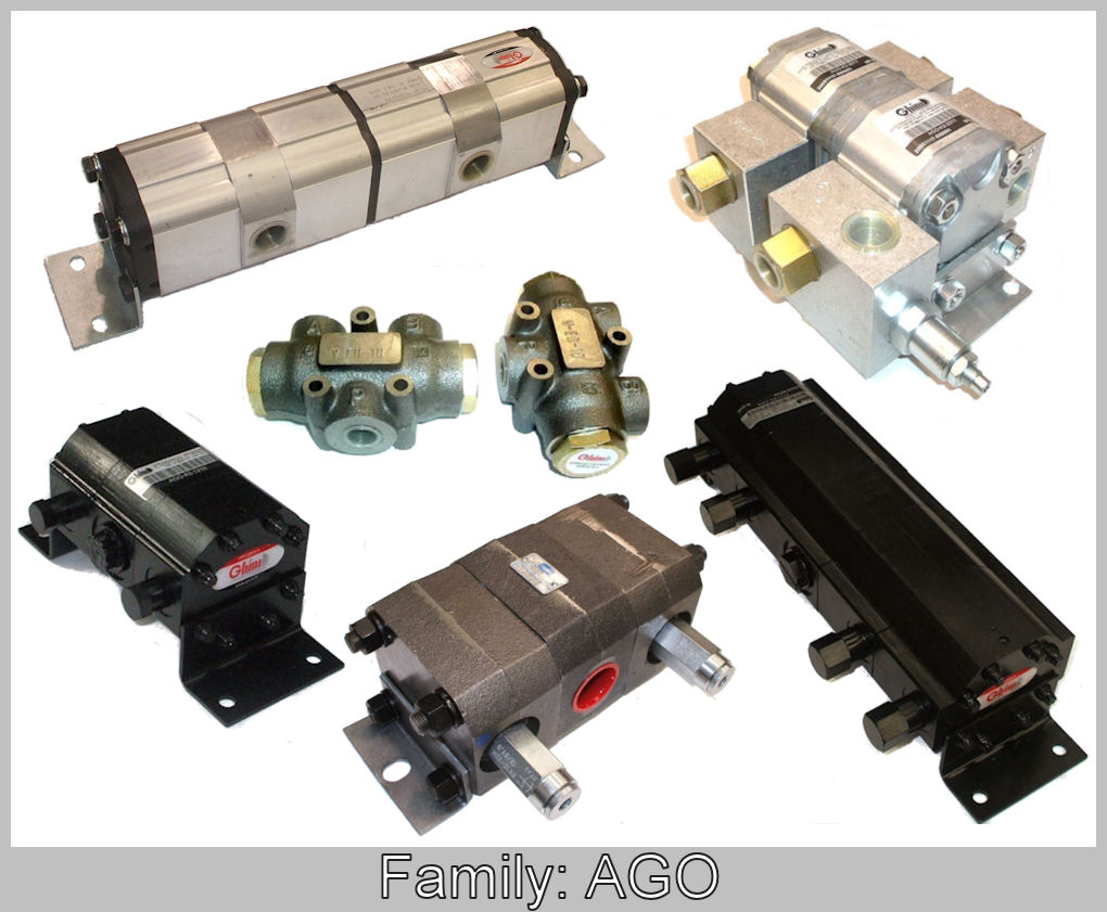 Hydraulic Pumps and Motors - GHIM Hydraulics