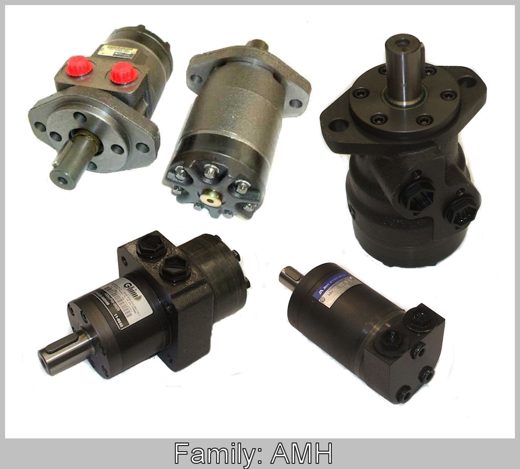 Hydraulic Pumps and Motors - GHIM Hydraulics